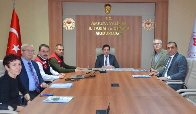 Amasya’da Kahverengi Kokarca zararlısı ile mücadele tedbirleri masaya yatırıldı