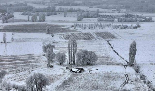 Sivas’ta Sibirya soğukları, eksi 15 derece ile doğa sanata dönüştü