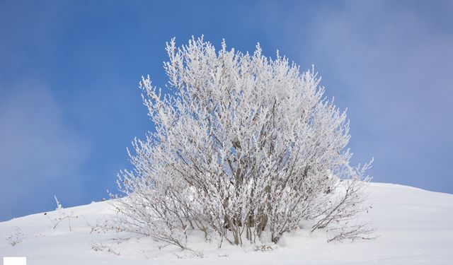 Tokat'ın Sibiryası'ndan eşsiz manzara