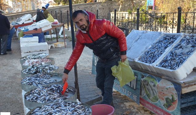 Tezgahlarda Balık Bollaştı Fiyatlar Dip Yaptı