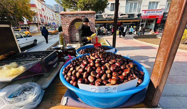 Kışın İçleri Isıtan Lezzeti Kestane: Kilosu 250 TL