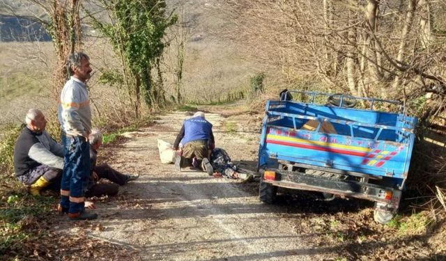 Ordu'da Patpat Kazası: 1 Kişi Ağır Yaralandı