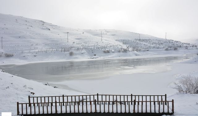 Tokat'ta soğuk, göleti buz pistine çevirdi