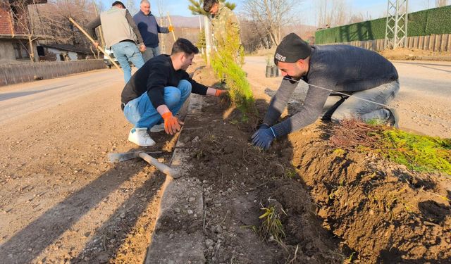 Tokat'ta Köy Muhtarından Türkiye'ye Örnek Çalışma