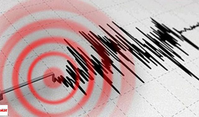 İzmir Körfezi'nde Korkutan Deprem: Gece Yarısı Sallandı
