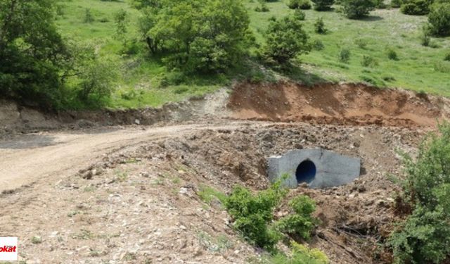 Orman Yolu Sanat Yapısı Yaptırılacak
