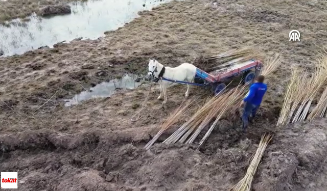 Doğaseverler Tuz Gölü'nü Fidanla Buluşturdu