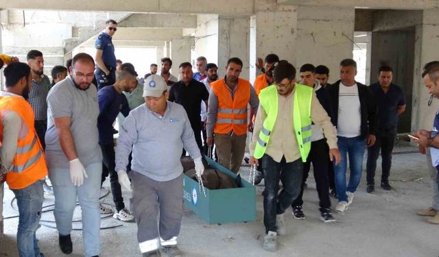 2 ay önce nişanlanan inşaat işçisi ilk iş gününde hayatını kaybetti
