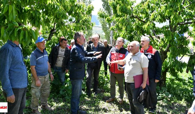 Tokat Akyamaç köyünde zirai don mesaisi