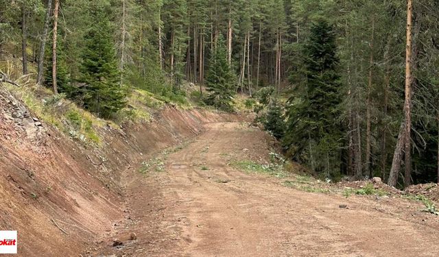 'B' Tipi Yeni Orman Yolu Yaptırılacak