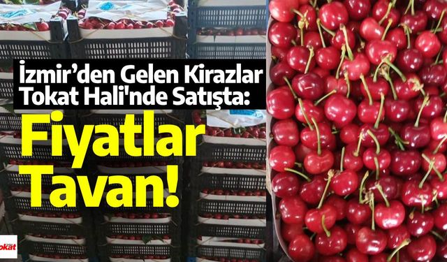 Bu sene kirazlar Tokat'ın değil İzmir'in Kemalpaşa'sından!
