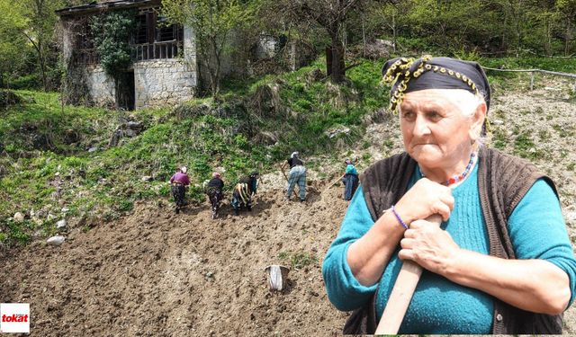 Sırtlarında Sepet, Ellerinde Kazma: Karadeniz’de Hayat Yeniden Toprakta Canlanıyor