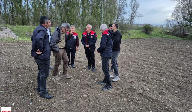 Çiftçinin Emeğini Dolu Vurdu: Tarım Müdürü Sahada İnceleme Yaptı