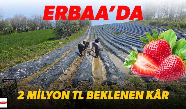 Erbaa’ya Çilek Gibi Tatlı Müjde: 2 Milyon TL Kâr Elde Edilecek!