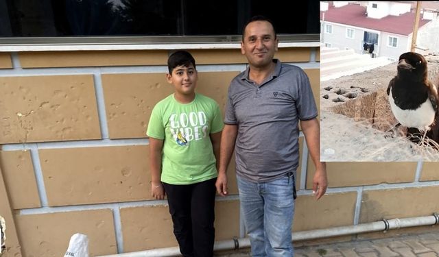 Tırıvırı ile Saksağan Kurtarma Operasyonu: Tokat’ta Örnek Davranış