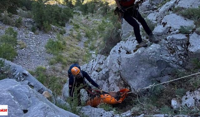 Ihlamur Toplarken Düşen Emekli Polis Hayatını Kaybetti