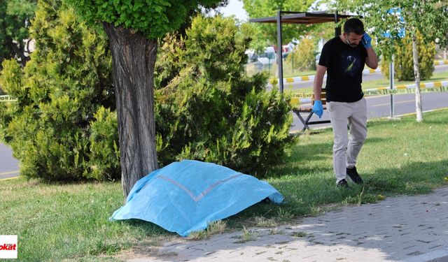 Annesinin Mezarını Ziyaret Ettikten Sonra İntihar Etti