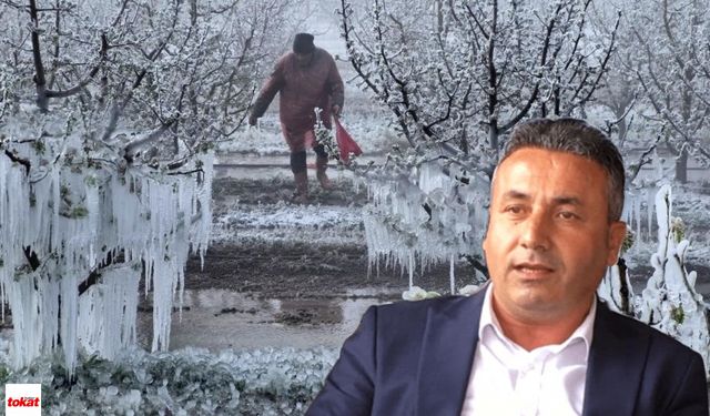 İYİ Parti'li Er: Zirai Don Mağduru Tokatlı Çiftçilere Ödeme Hala Yapılmadı!