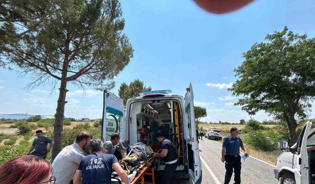 Otomobil ağaca çarptı: 1 ölü 4 yaralı
