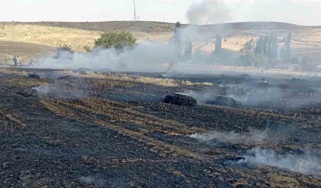 Balya makinesinden çıkan kıvılcım 10 dönüm araziyi kül etti