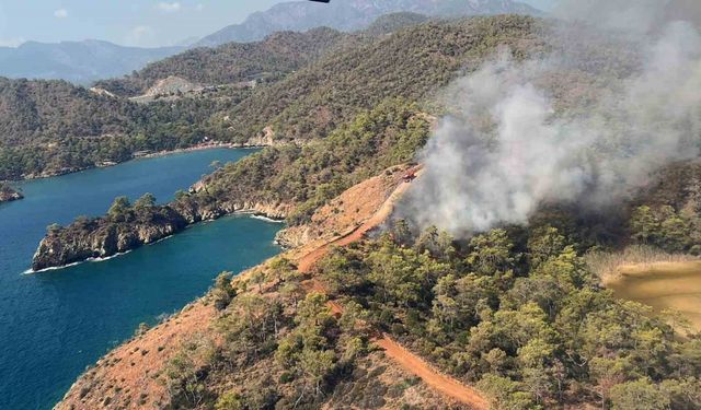 Fethiye’de orman yangını