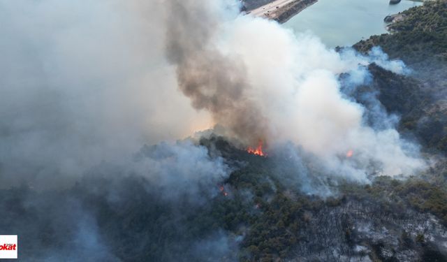 Tokat'taki orman yangınıyla ilgili 1 kişi gözaltına alındı