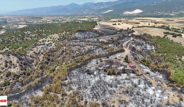 Tokat'ta söndürülen orman yangınının izleri dronla görüntülendi