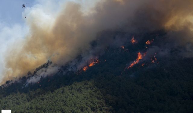 Orman Yangını Soruşturmalarında 2 Şüpheli Tutuklandı