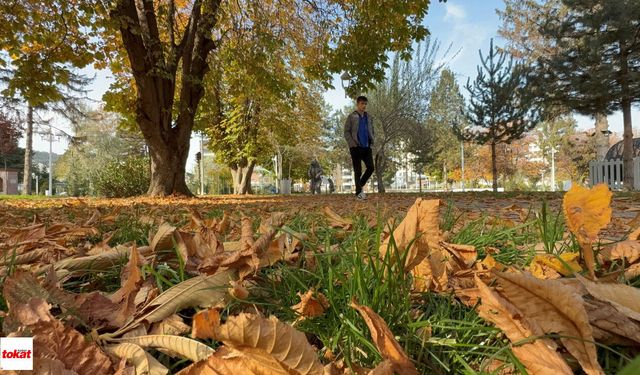 23 Eylül’de doğanın ritmi değişecek: Kuzey Yarımküre sonbahara giriyor