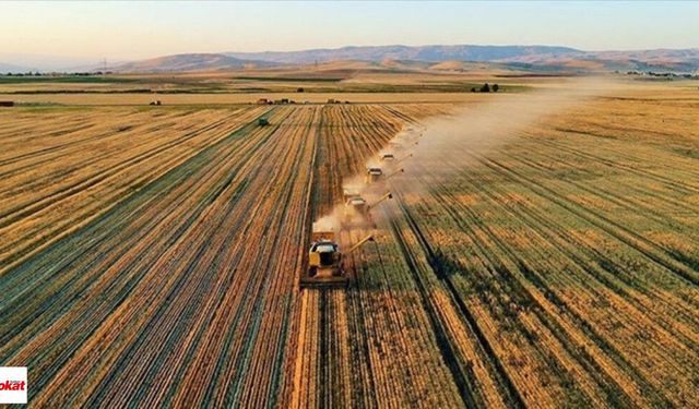 Tokatlı Çiftçinin Üretim Maliyeti Katlandı! En Büyük Zam Enerjiye Geldi