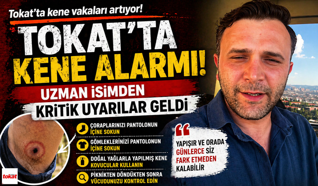 Tokat’ta kene alarmı: Uzman isimden kritik uyarılar geldi
