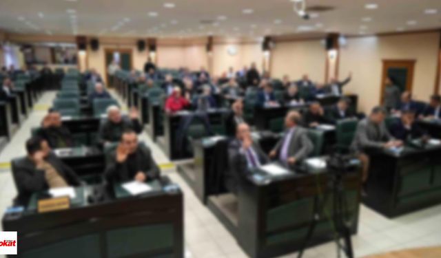 MHP'li meclis üyesi kazada hayatını kaybetti