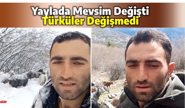 Reşadiyeli Çoban Kar Altında Türkü Söylemişti, Bu Kez Baharı Türküyle Karşıladı