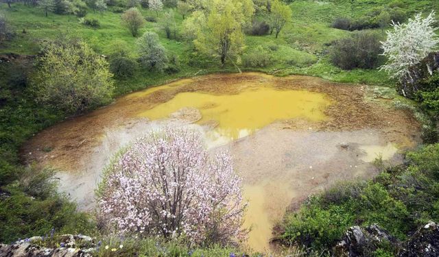 Efsanelere konu olan göl renk değiştirdi, ziyaretçileri hayal kırıklığı yaşadı