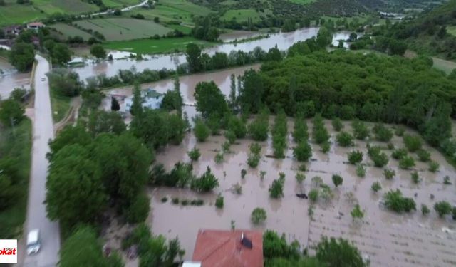 Doğal afetler Tokat'ta çiftçinin emeğini sildi: Hem ürün hem gelir sıfırlandı