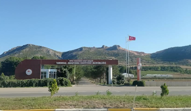 Tokat’ta 16 Kişiye İş Kapısı Açıldı: Başvurular Şahsen Alınacak
