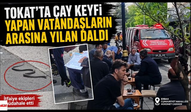 Tokat'ta çay keyfi yapan vatandaşların arasına yılan daldı