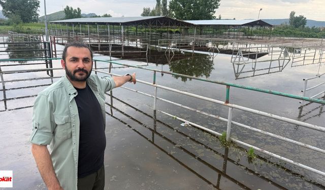 Turhal’da Selin Yeni Adresi: Hayvan Pazarı Sular Altında Kaldı