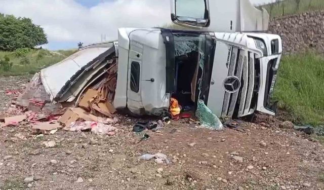 Komşuda Kaza: Tavuk Eti Yüklü Tır Şarampole Uçtu
