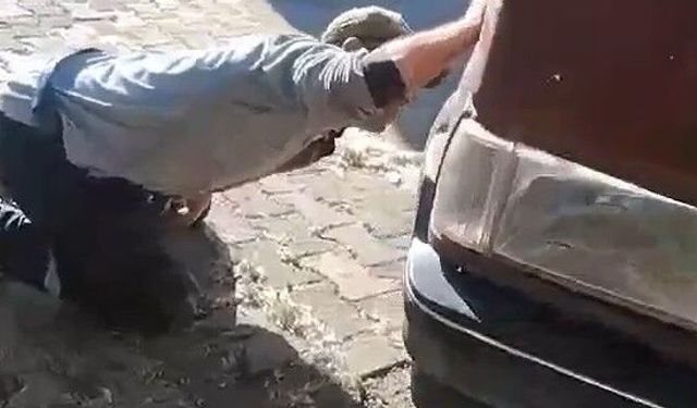 Tokat'ta aracın motor kısmına girdi, itfaiye ekipleri müdehale etti