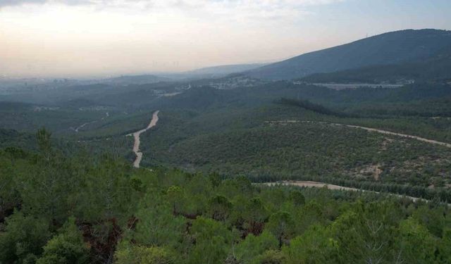 Yasak Başladı:5 Ay Sürecek