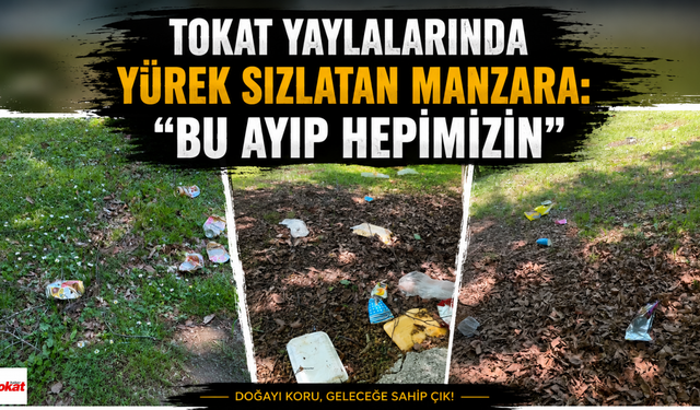 Tokat Yaylalarında Yürek Sızlatan Manzara: “Bu Ayıp Hepimizin”