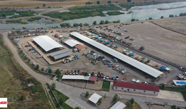 Erbaa'da Görüldü, Hemen Karantinaya Alınarak Kapatıldı