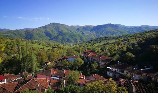 Tokat'ın Köyleri Yatırım Atağı Yaşayacak 232 Milyon Bütçeyle Ayağa Kalkacak Paylar Netleşti Aslan Payı Merkezin Oldu