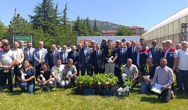 Tokat'ta Emek Toprakla Buluştu 16. Geleneksel Asma Fidanı Dağıtımı Yapıldı