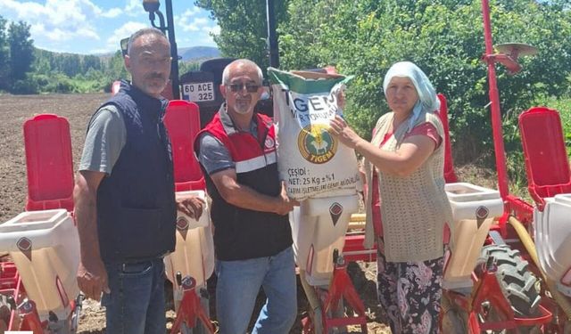 Tokat’ta Yerli ve Milli Mısır Hamlesi: 35 Dekarlık Deneme Ekimleri Başladı