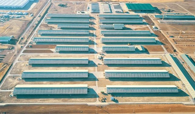 Tokat'ın Kırsal Kalkınmasına Örnek Bir Proje 202 Milyon Dolarlık Yatırımla Hayat Geçirildi Yüzlerce Aileye Gelir Geldi