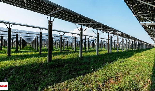 Tokat'ın Aradığı Formül Yanı Başında Bulundu Hem Tarım Hem Enerji Oldu 7 İlçede Birden Uygulanabilecek Bir Model Göründü