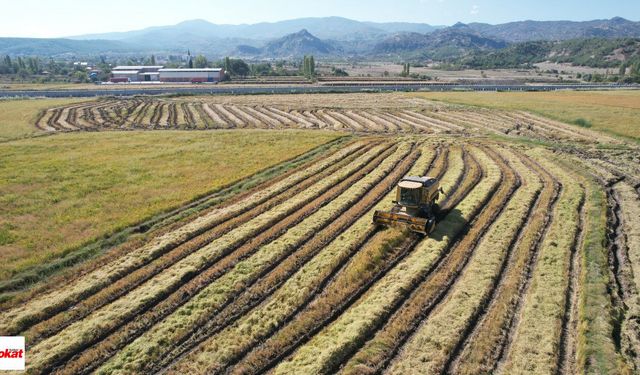 Tokat İçin Yeni Fırsat Doğdu Verimli Ovalarında Hızla Üretime Geçilecek Kanun Değişti