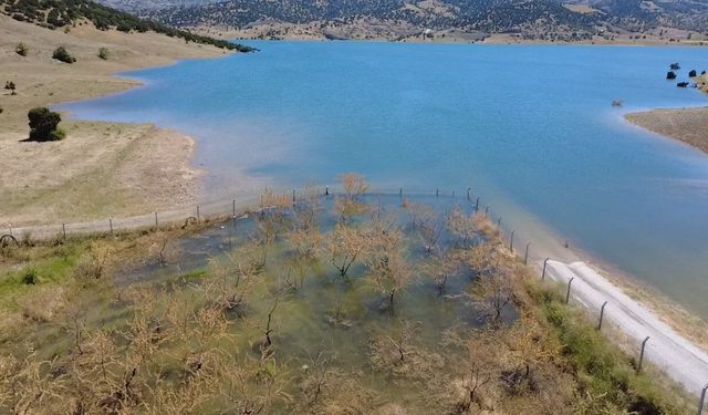 Badem ağaçları sular altında kaldı